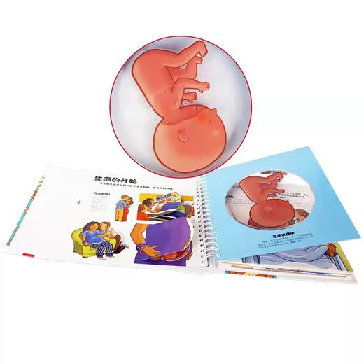 我们的身体：3d立体书儿童绘本（2-12岁）科普百科书，性启蒙书籍 商品图3