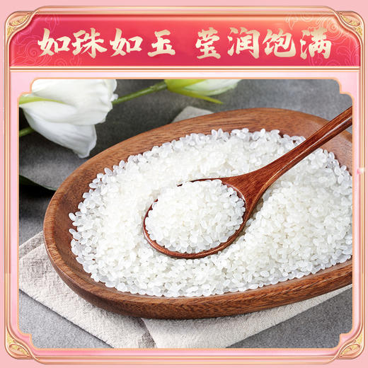 十月稻田 香稻贡米 东北大米 当季新米 5kg 商品图2