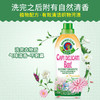 ChanteClair大公鸡真丝丝绸洗衣液亮彩护色洗涤剂洗调剂护衣净【GPQ】 商品缩略图8