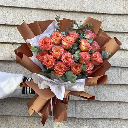 火灵鸟 商品图0