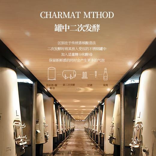 【意大利普罗塞克DOC】 单一年份超干型普罗塞克 意大利 11%vol 商品图3