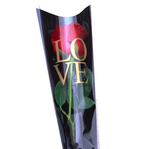 【一支玫瑰的浪漫】单枝红玫瑰【GY】 商品图2