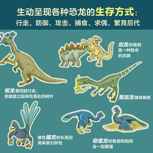 亲亲历史图书馆：恐龙  科普百科 科普绘本百科全书 商品图4