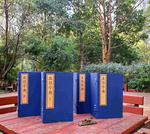 《康熙字典》，线装4函全40册《康熙字典》，线装，4函全40册，30*18cm,据光绪元年崇文书局版影印，崇文书局2017年版，定价6800，售价3288 商品图0