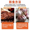 泰国香米 南纳香 进口原粮 泰米 10kg（新米） 商品缩略图8