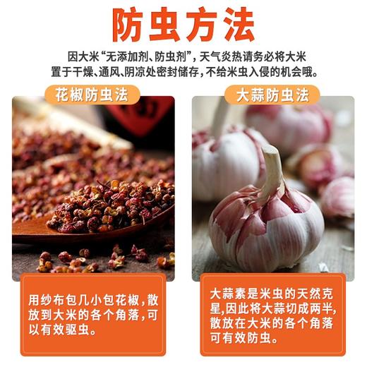 泰国香米 南纳香 进口原粮 泰米 10kg（新米） 商品图8