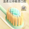 狮王细齿洁宽薄茶抗敏牙刷 商品缩略图1