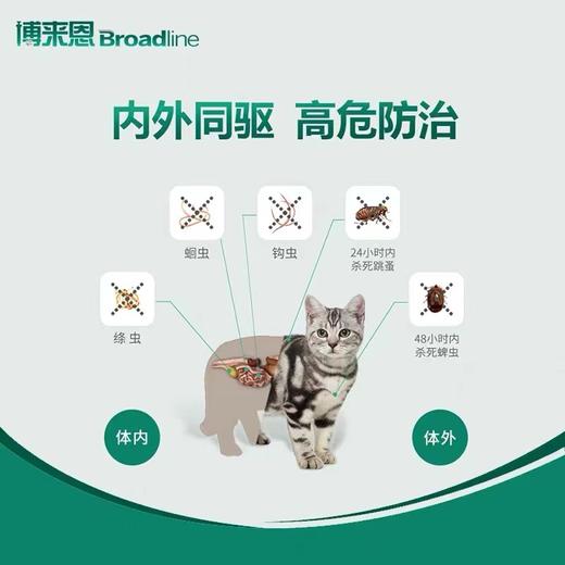 博莱恩驱虫 商品图3