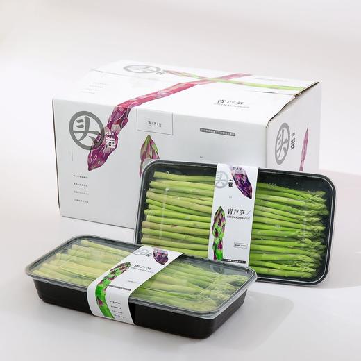 青芦笋 商品图2
