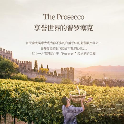 【意大利普罗塞克DOC】 单一年份超干型普罗塞克 意大利 11%vol 商品图4