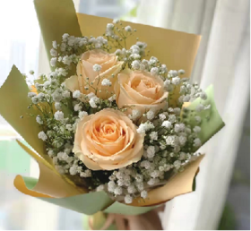 美好时光  3只香槟玫瑰+满天星花束【BC】【AM】