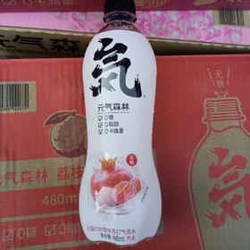 元气森林石榴红树莓味苏打气泡水
