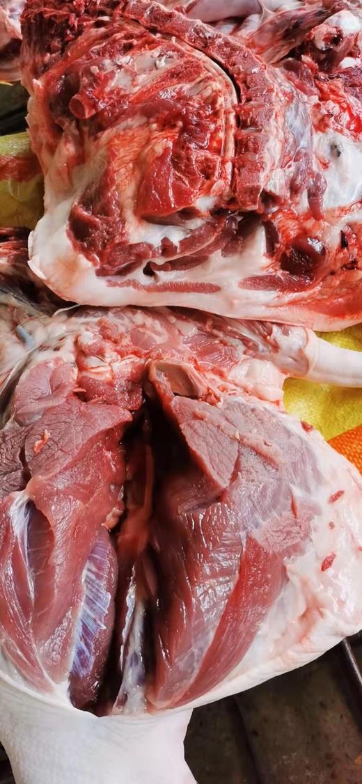 跑山土猪，养殖1年以上，一刀切猪肉（省内包邮，省外加邮费） 商品图3