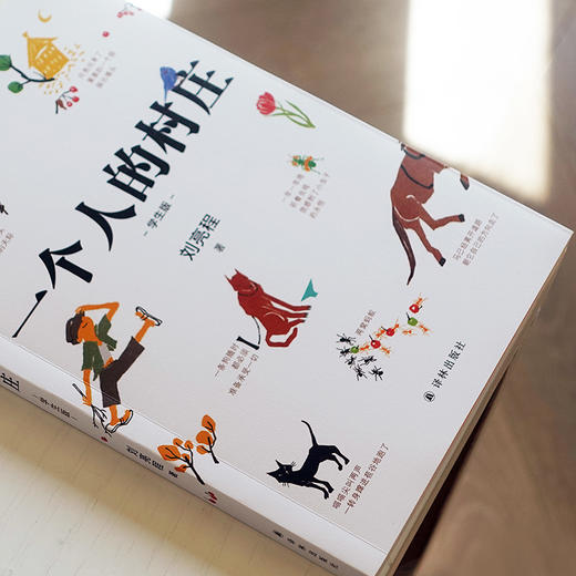 一个人的村庄 学生版 商品图4