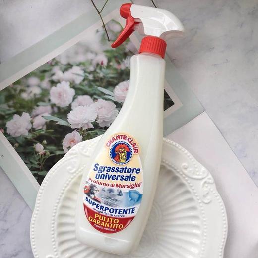 意大利大公鸡头经典型多功能厨房油污清洁剂大公鸡管家625ml*2瓶【GPQ】 商品图1