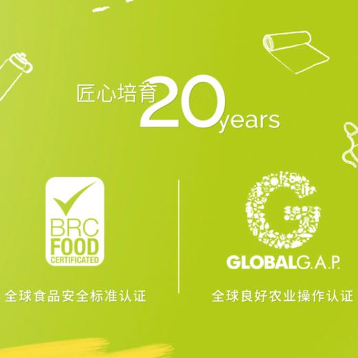 [最农公社]新西兰火箭筒苹果个小味浓 商品图8