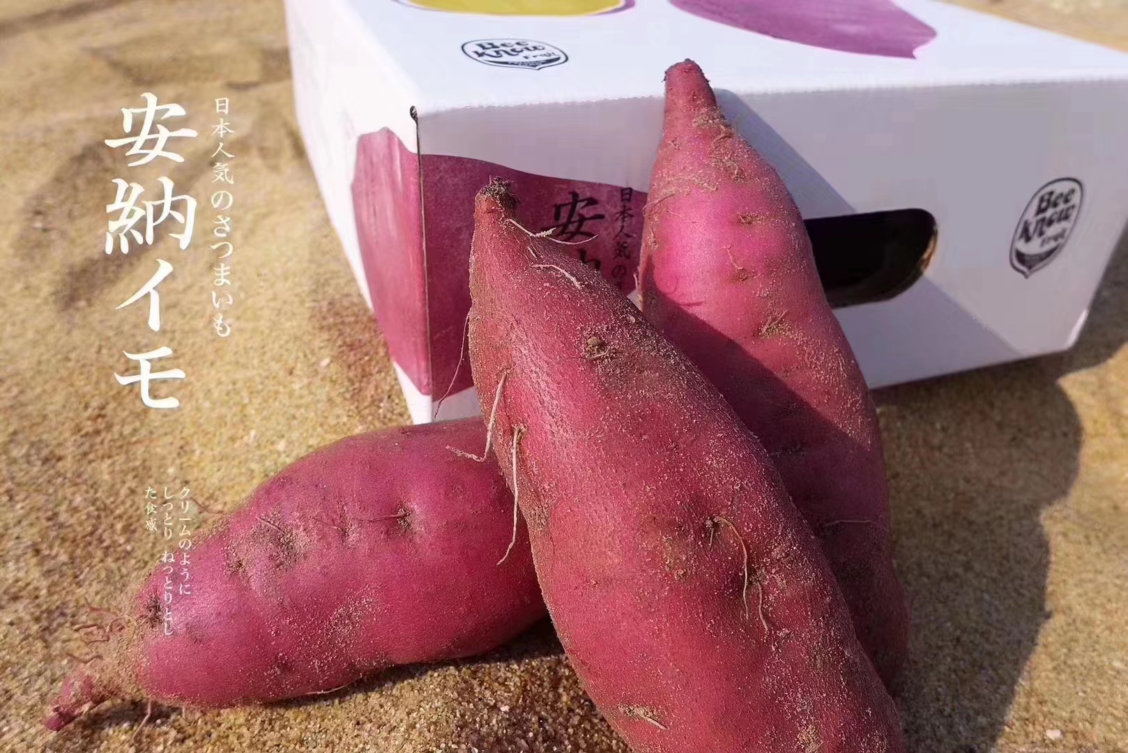 倍浓安纳芋地瓜日本品种约455斤箱极粉糯极细腻集美貌和美味于一身