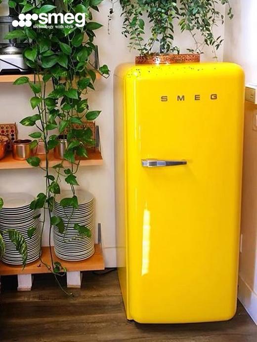 意大利 SMEG FAB28 复古冰箱 270L 商品图8