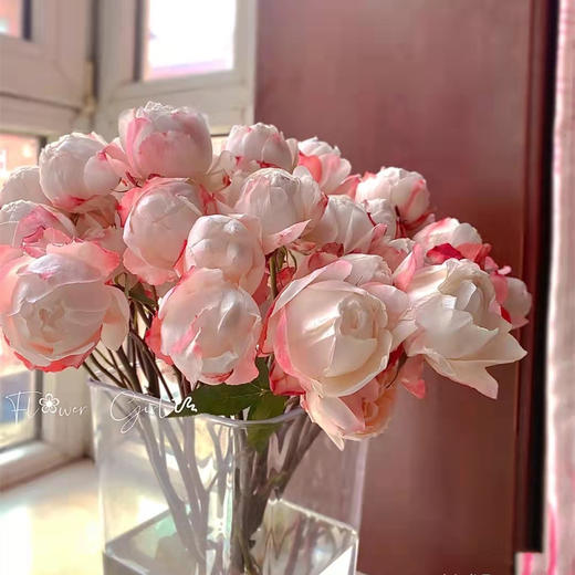 肯尼亚花园玫瑰 PRINCESS SUKI苏琪公主 6支 商品图4