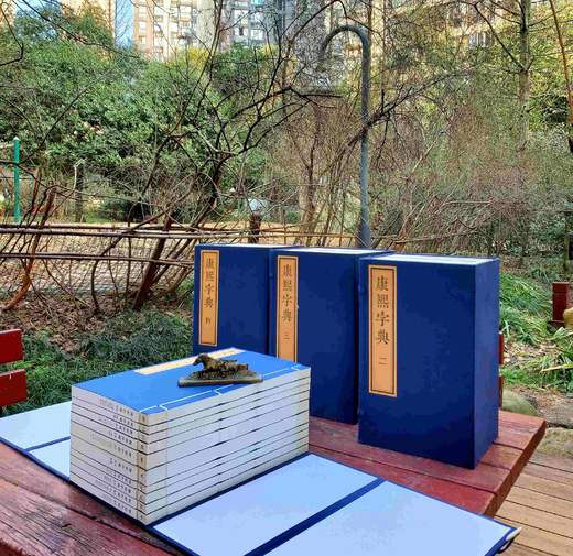 《康熙字典》，线装4函全40册《康熙字典》，线装，4函全40册，30*18cm,据光绪元年崇文书局版影印，崇文书局2017年版，定价6800，售价3288 商品图3