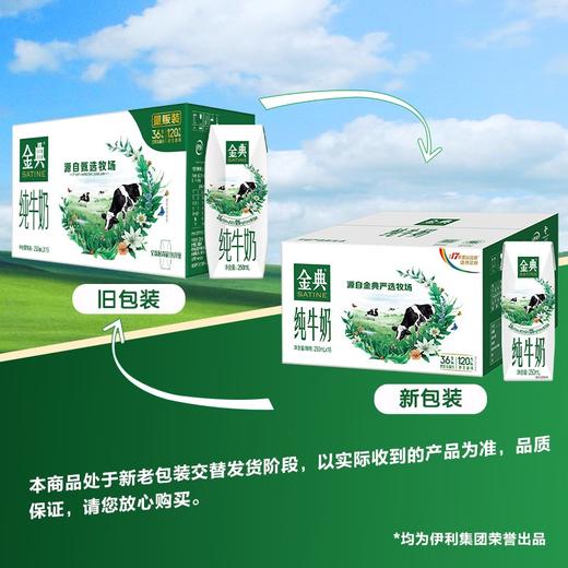 伊利 金典纯牛奶250ml*16盒 商品图1