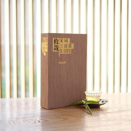 《攸哉：宋词三百首》 商品图0