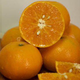 【约12-16个】广西好物 茂谷柑 4.5斤大果