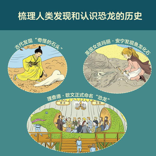 亲亲历史图书馆：恐龙  科普百科 科普绘本百科全书 商品图6