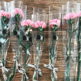 【GY】单枝康乃馨（少女会老，少女心不老）