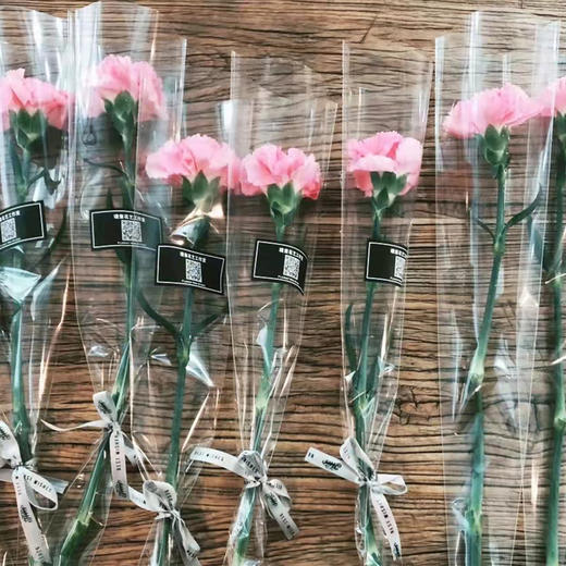 【GY】单枝康乃馨（少女会老，少女心不老） 商品图0