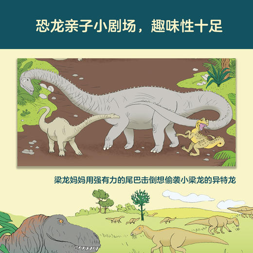 亲亲历史图书馆：恐龙  科普百科 科普绘本百科全书 商品图5