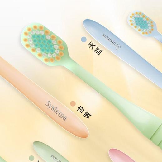 狮王细齿洁宽薄茶抗敏牙刷 商品图2