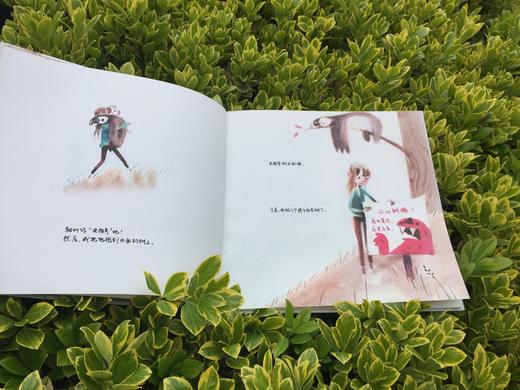《树懒活力秀》大奖绘本 3-6岁亲子阅读绘本 商品图3