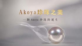 第2集 | Akoya珍珠之美：一颗Akoya珍珠的诞生