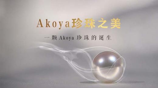 第2集 | Akoya珍珠之美：一颗Akoya珍珠的诞生 商品图0
