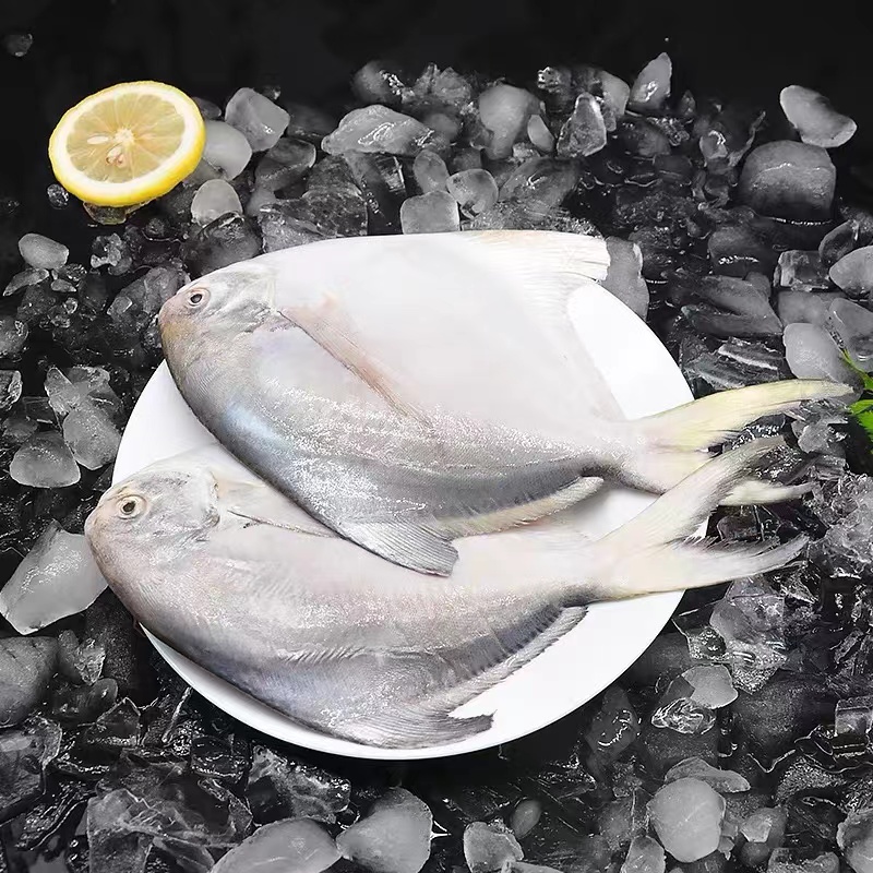 冷冻【顺丰包邮】青岛本地纯海捕银鲳鱼—4条装（约两斤）无冰衣  独立包装