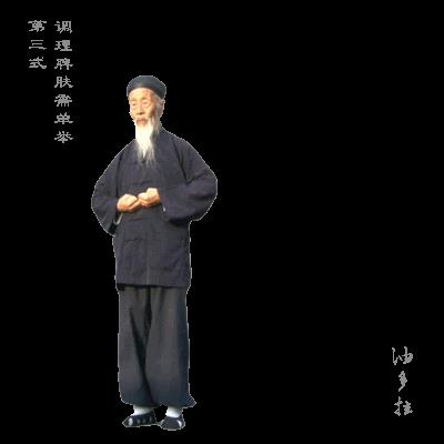 收藏！张至顺道长八部金刚功动图 商品图0