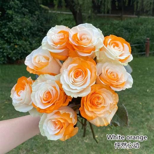 厄瓜多尔染色玫瑰花WHITE ORANGE怦然心动10支 商品图3