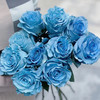 厄瓜多尔染色玫瑰Sky blue 冰雪王后 10支 商品缩略图1