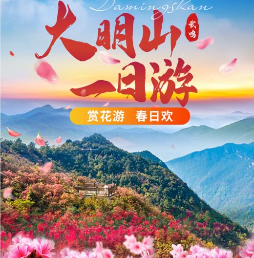 大明山祈福1日游 商品图0