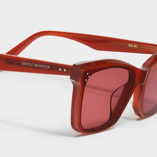 GENTLE MONSTER    Solbei RD1 商品图3