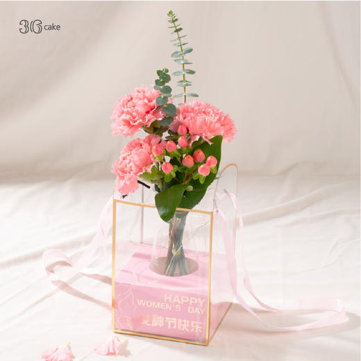 【福田宝安龙岗盐田已售完】康乃馨手提花礼，单拍不送 商品图1