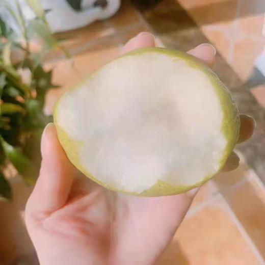 【团队香梨树】2022我为汽车种棵树“我有一棵树 长在阿克苏”之香梨来了 独享香梨树认种 商品图1