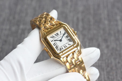 卡地亚猎豹系列 Panthère de Cartier华丽而不羁 中号 商品图3