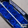 厄瓜多尔染色玫瑰rose blue蓝色妖姬10支 商品缩略图1