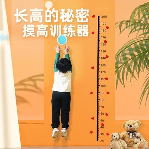 宝宝拍摸高训练器语音计数摸高神器儿童跳高长高助高助长跳跃锻炼 商品图5