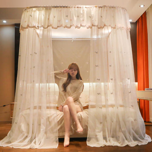【公主轻奢风】蚊帐加密防尘窗帘布绣花可升降导轨蚊帐 商品图0
