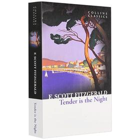 Collins夜色温柔 英文原版小说 Tender is the Night 柯林斯经典文学 英文版进口正版书籍