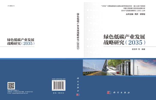 绿色低碳产业发展战略研究：2035 商品图2