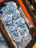 厄瓜多尔染色玫瑰Sky blue 冰雪王后 10支 商品缩略图5